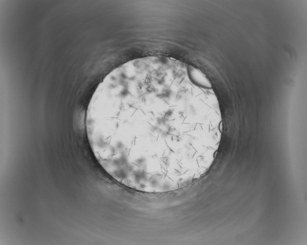 X0000111150041200907281141