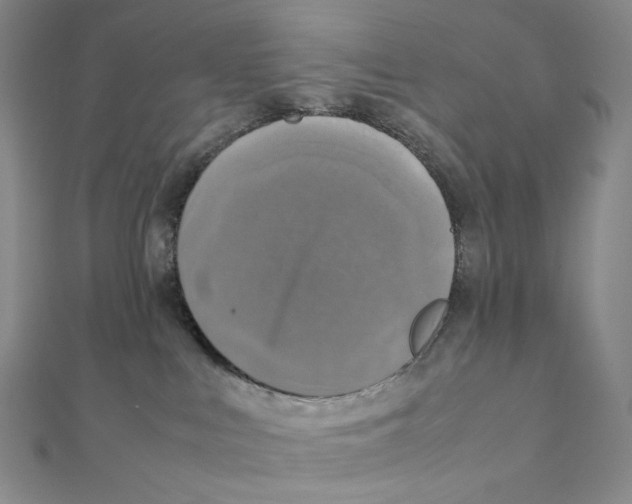 X0000111150043200907281141