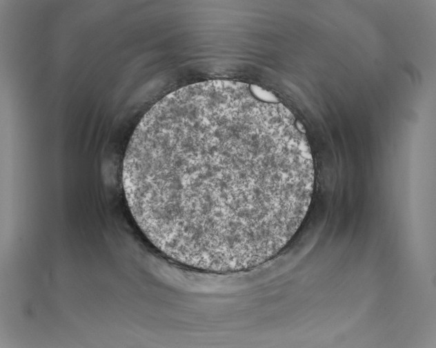 X0000111150044200907281141