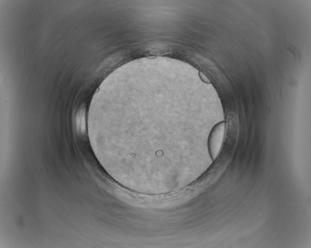 X0000111150046200907281141