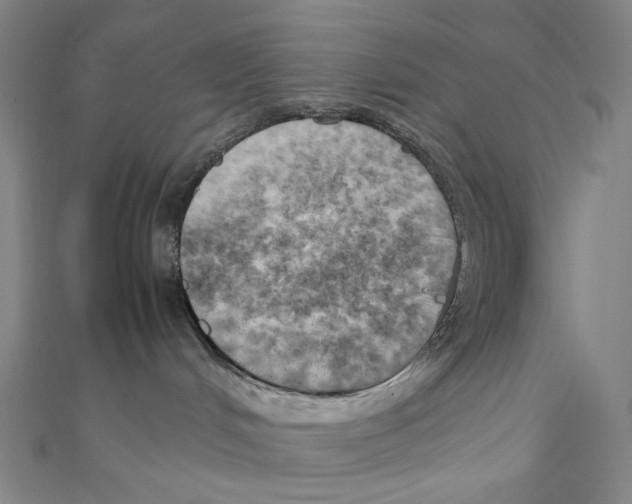 X0000111150048200907281141