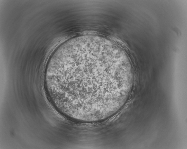 X0000111150049200907281141