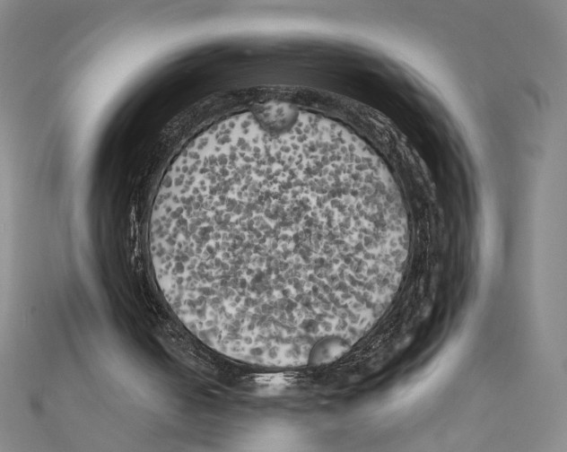 X0000111150050200907281141