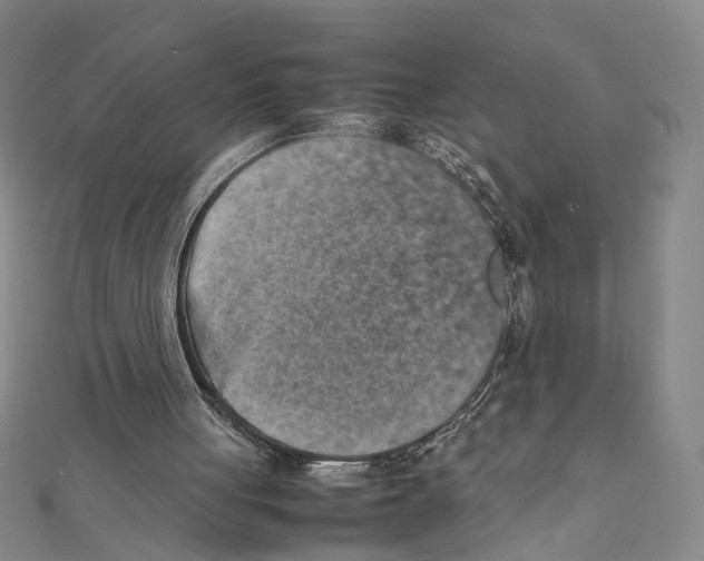 X0000111150051200907281141