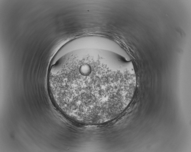 X0000111150052200907281141