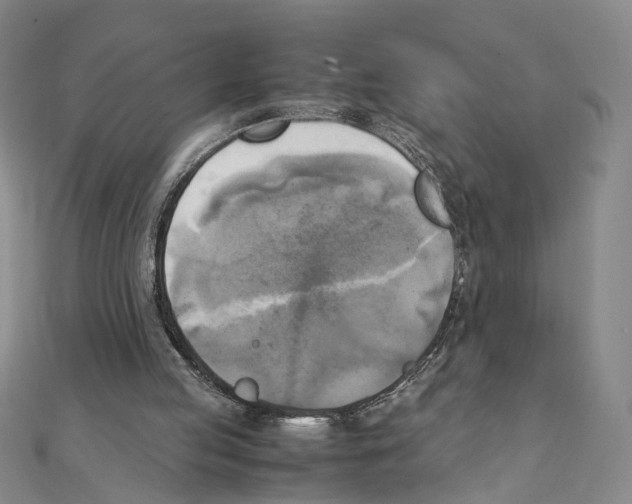 X0000111150053200907281141