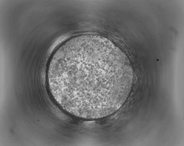 X0000111150054200907281141