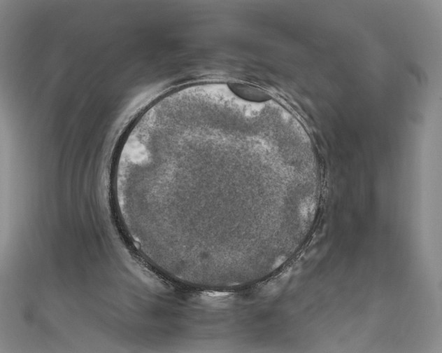 X0000111150055200907281141