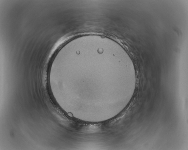 X0000111150056200907281141