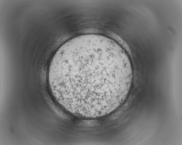 X0000111150057200907281141