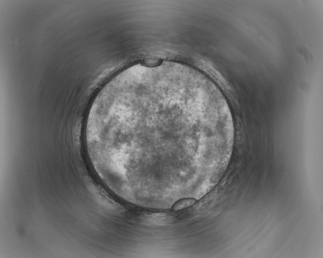 X0000111150058200907281141