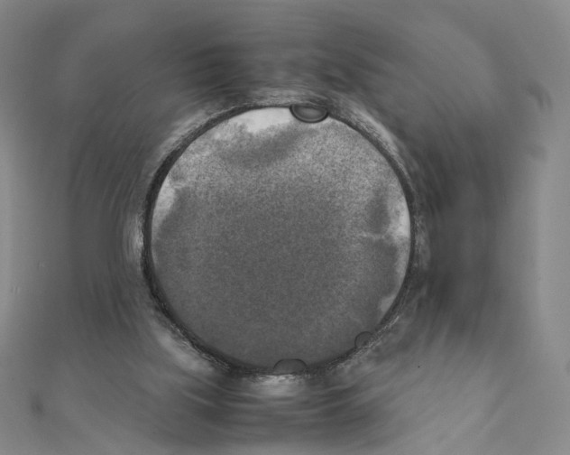 X0000111150059200907281141