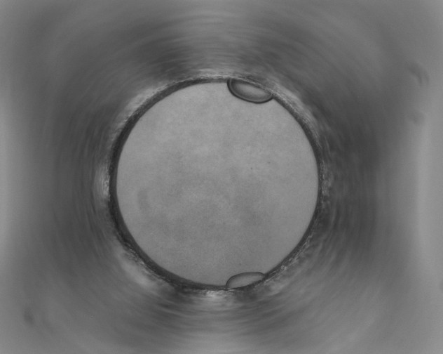 X0000111150060200907281141