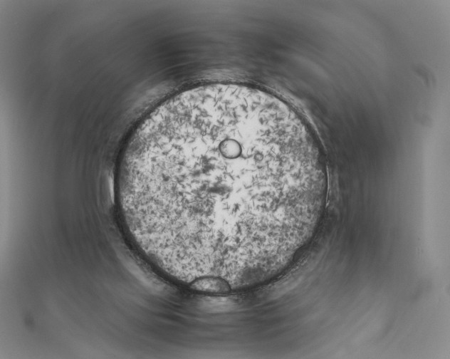 X0000111150061200907281141