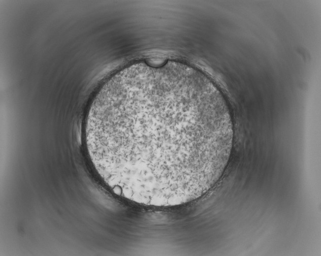 X0000111150062200907281141