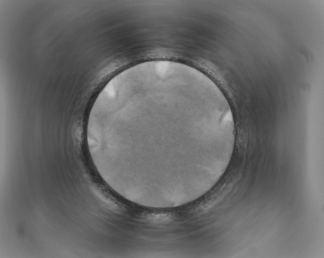 X0000111150063200907281141