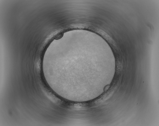 X0000111150064200907281141