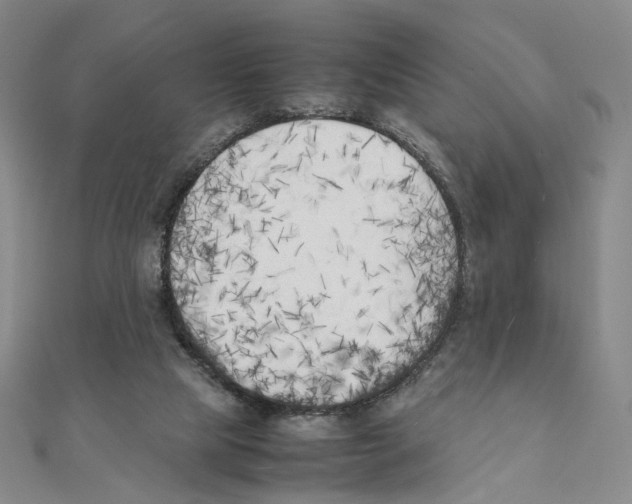 X0000111150065200907281141