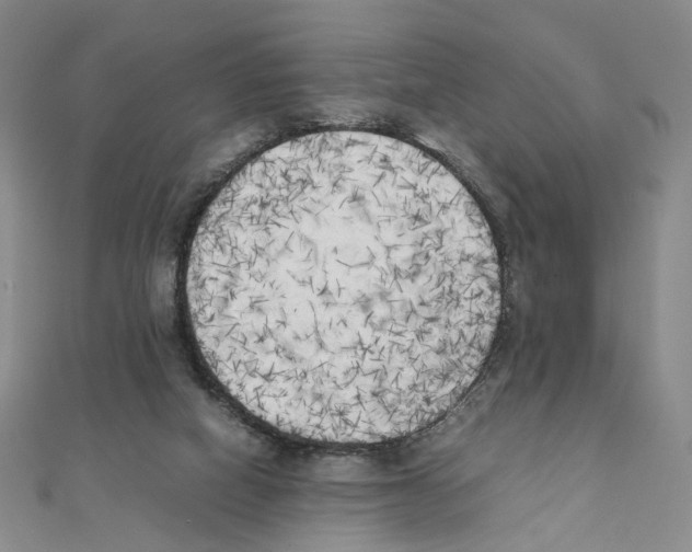 X0000111150066200907281141