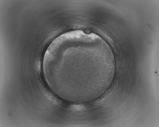 X0000111150067200907281141