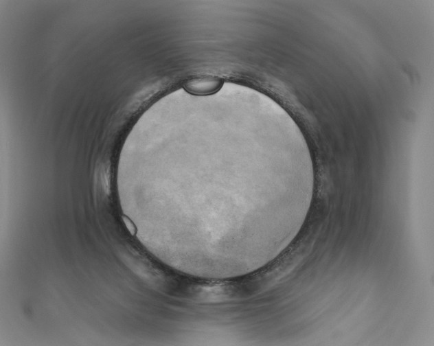 X0000111150068200907281141