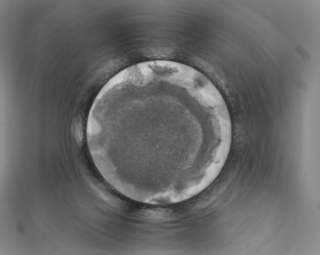 X0000111150069200907281141