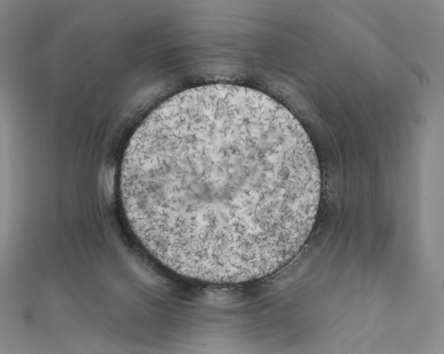 X0000111150070200907281141