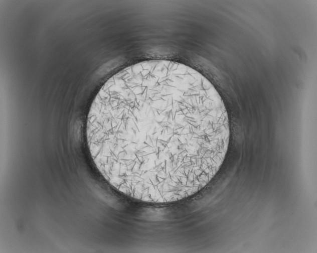 X0000111150071200907281141