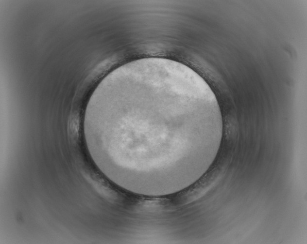 X0000111150072200907281141