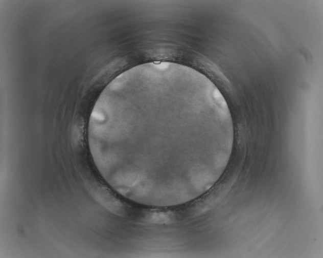 X0000111150073200907281141