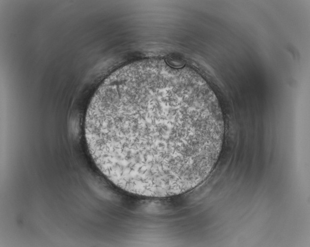 X0000111150074200907281141