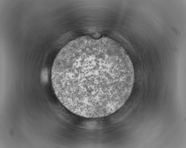 X0000111150075200907281141