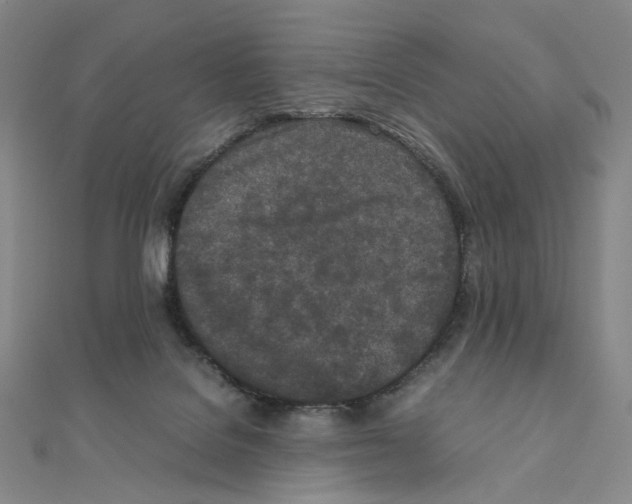 X0000111150076200907281141