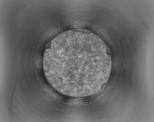 X0000111150078200907281141