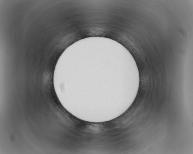 X0000111150079200907281141