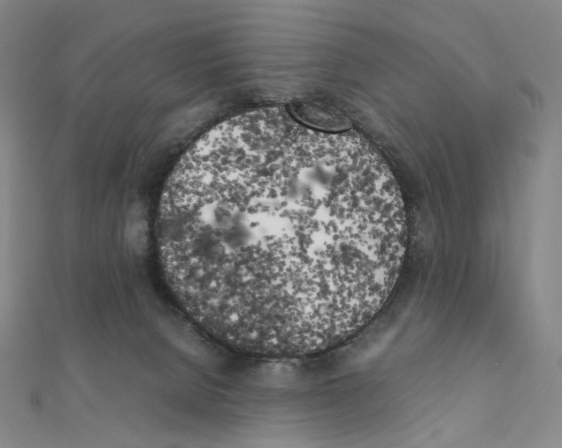 X0000111150080200907281141