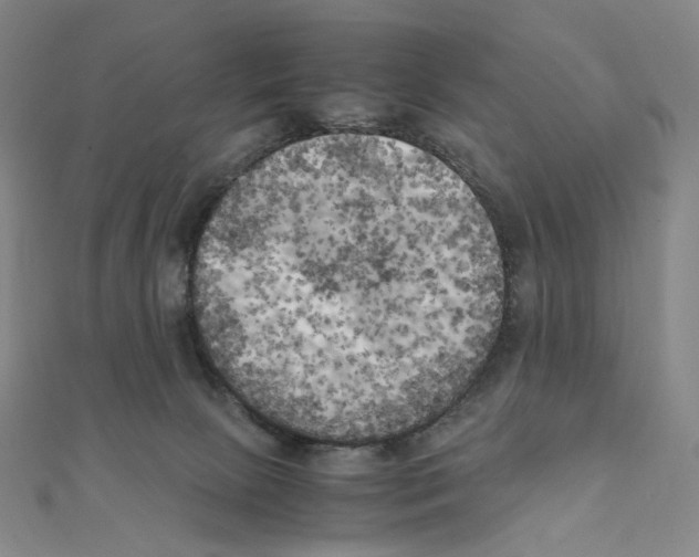 X0000111150081200907281141