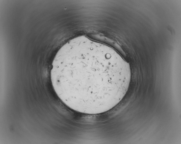 X0000111150084200907281141