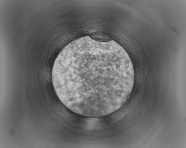 X0000111150085200907281141