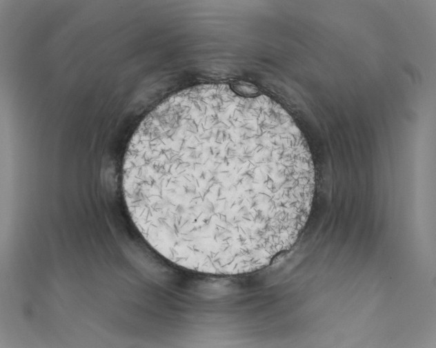 X0000111150086200907281141