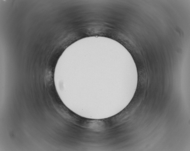 X0000111150087200907281141