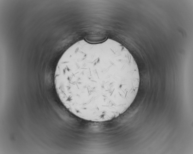 X0000111150088200907281141