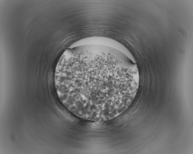 X0000111150092200907281141