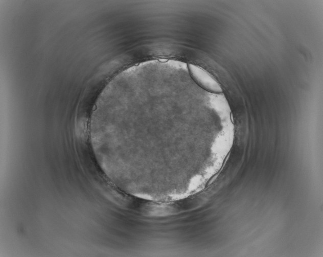 X0000111150093200907281141