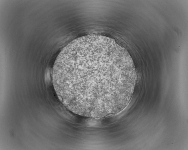 X0000111150094200907281141