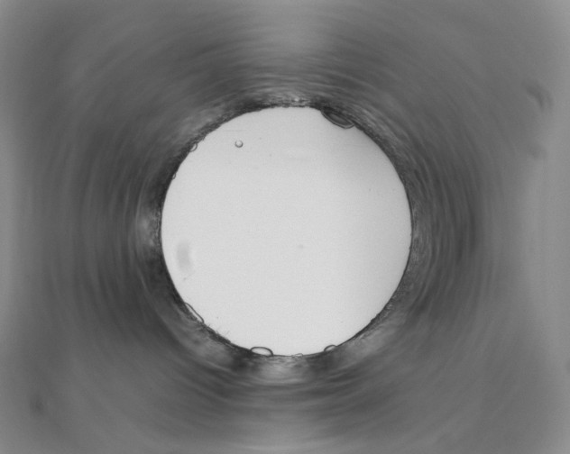 X0000111150096200907281141