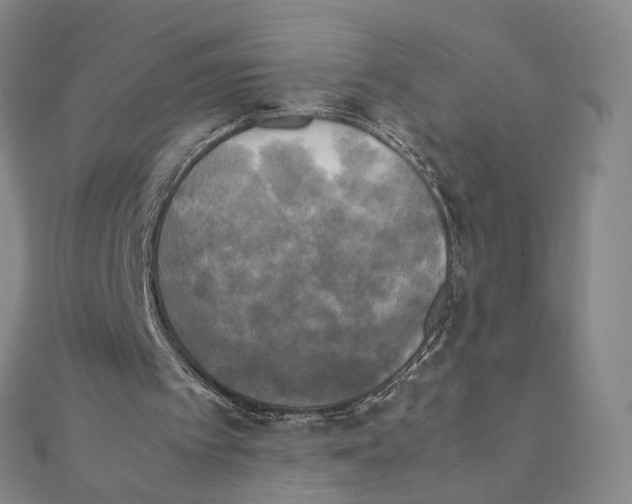 X0000111150097200907281141