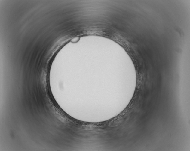 X0000111150098200907281141