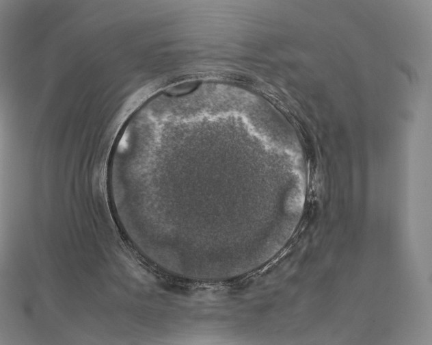 X0000111150099200907281141