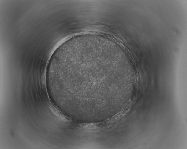 X0000111150100200907281141